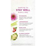 Bigelow Benefits Calm Stomach Ginger Peach Herbal Tea, Caffeine Free, 18 Count (Pack of 6), 108 Total Tea Bags - Image 4